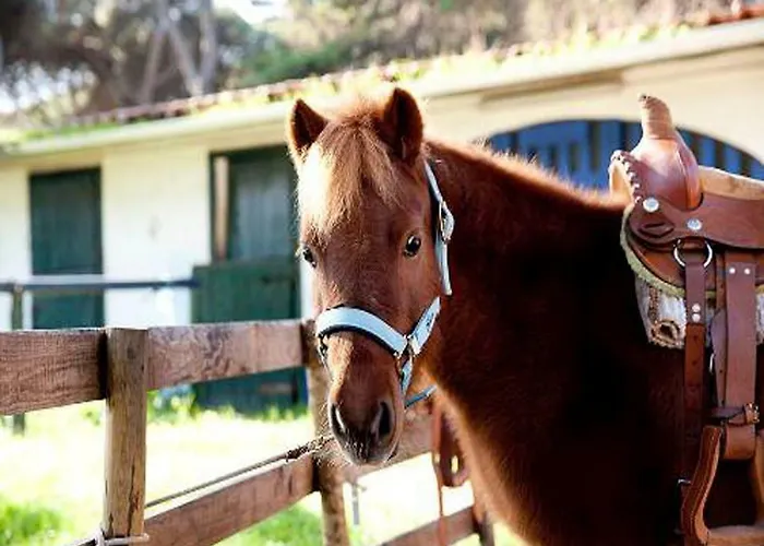 Quinta Da Marinha Golf Guincho Gæstehus *